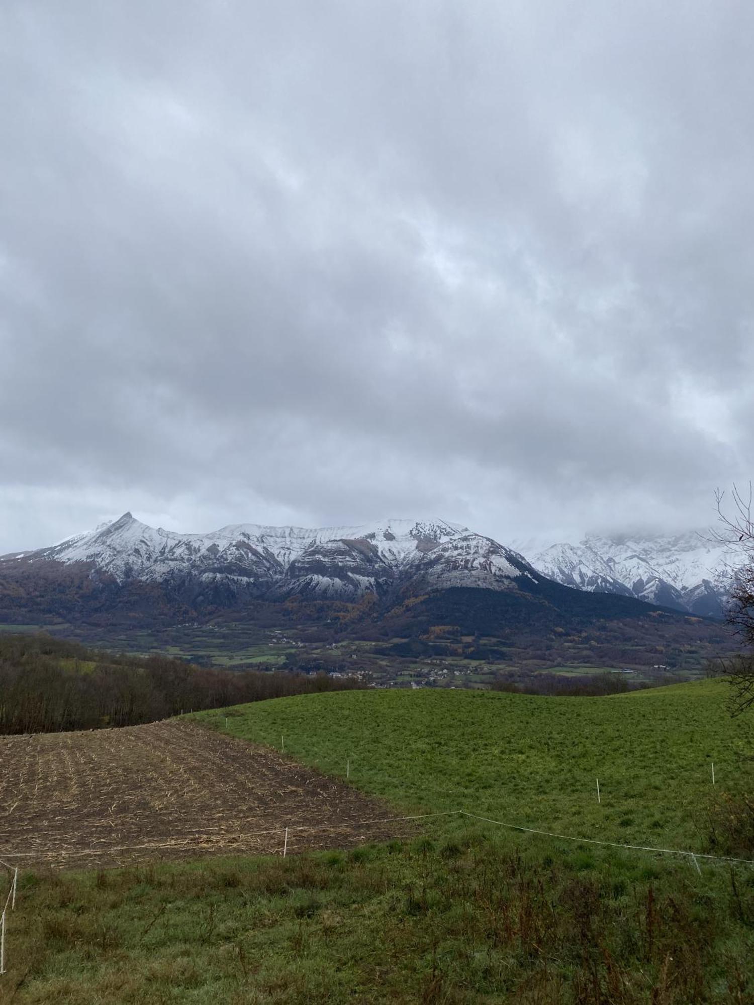 La Rose Des Vents Leilighet Saint-Bonnet-en-Champsaur Eksteriør bilde